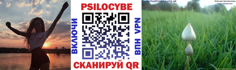 Псилоцибиновые грибы Psilocybine cubensis  Козловка 